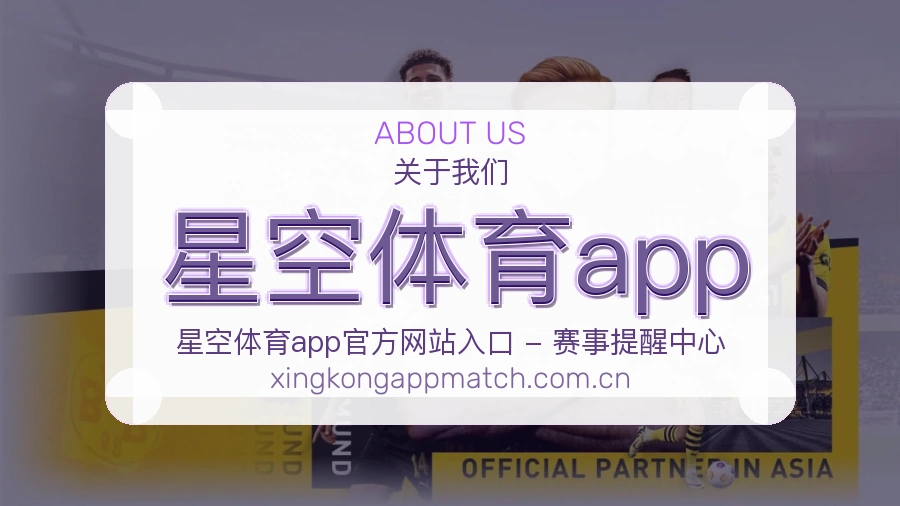 星空体育app平台服务概况